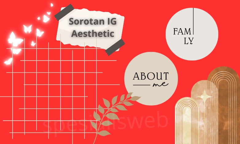 sorotan ig aesthetic
