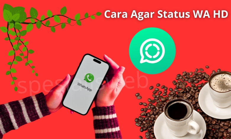cara agar status wa hd